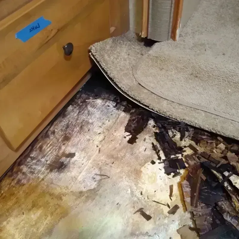 Best Wood Floor Water Damage Service in Monte Vista, CO